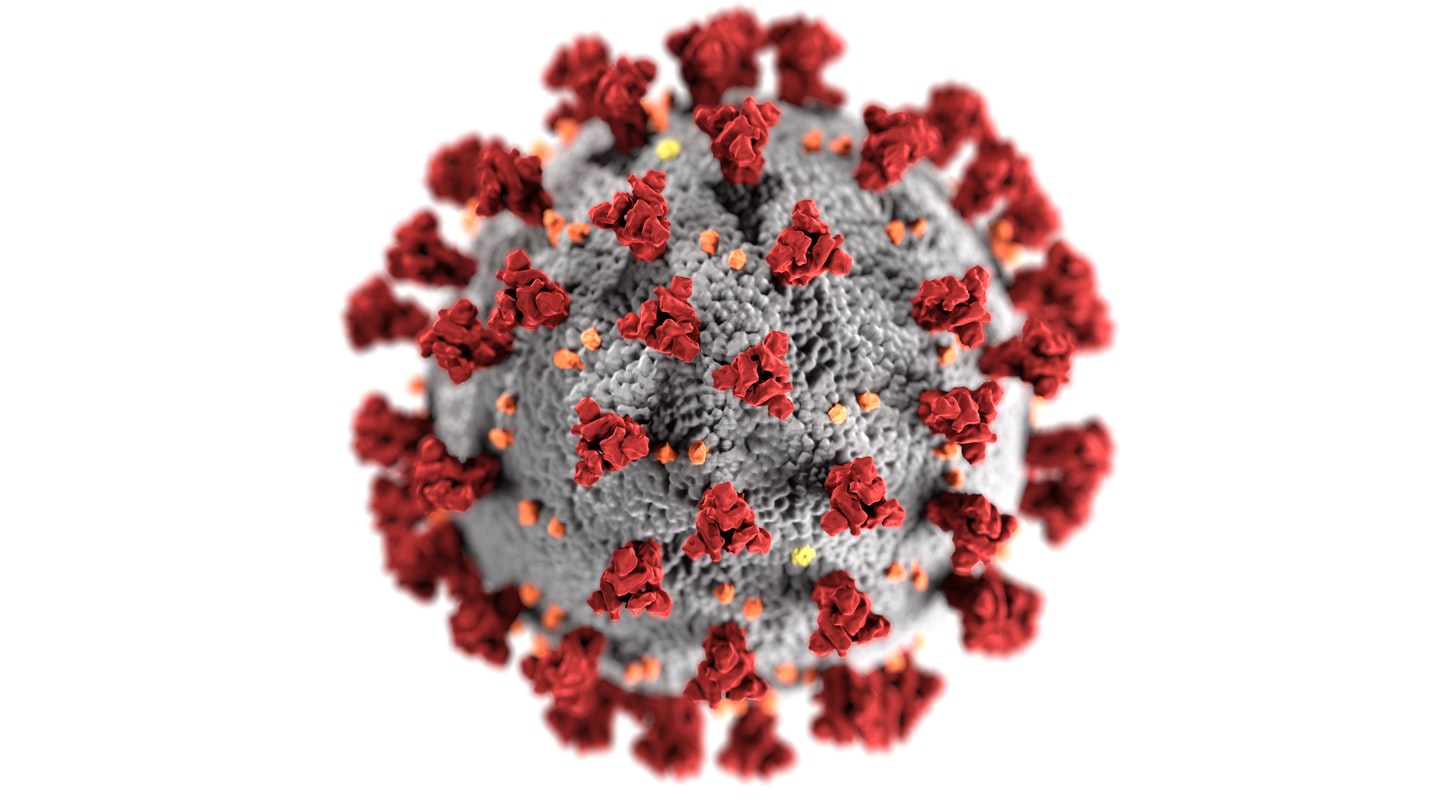 Coronavirus Facts