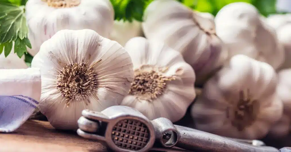 Close-up of fresh garlic bulbs on a wooden surface with a metal garlic press and parsley leaves in the background.